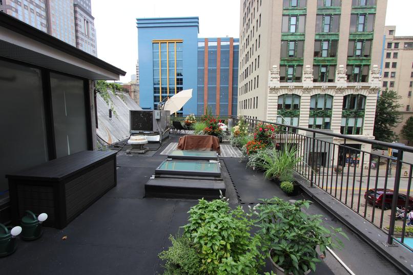 Rooftop garden with city view